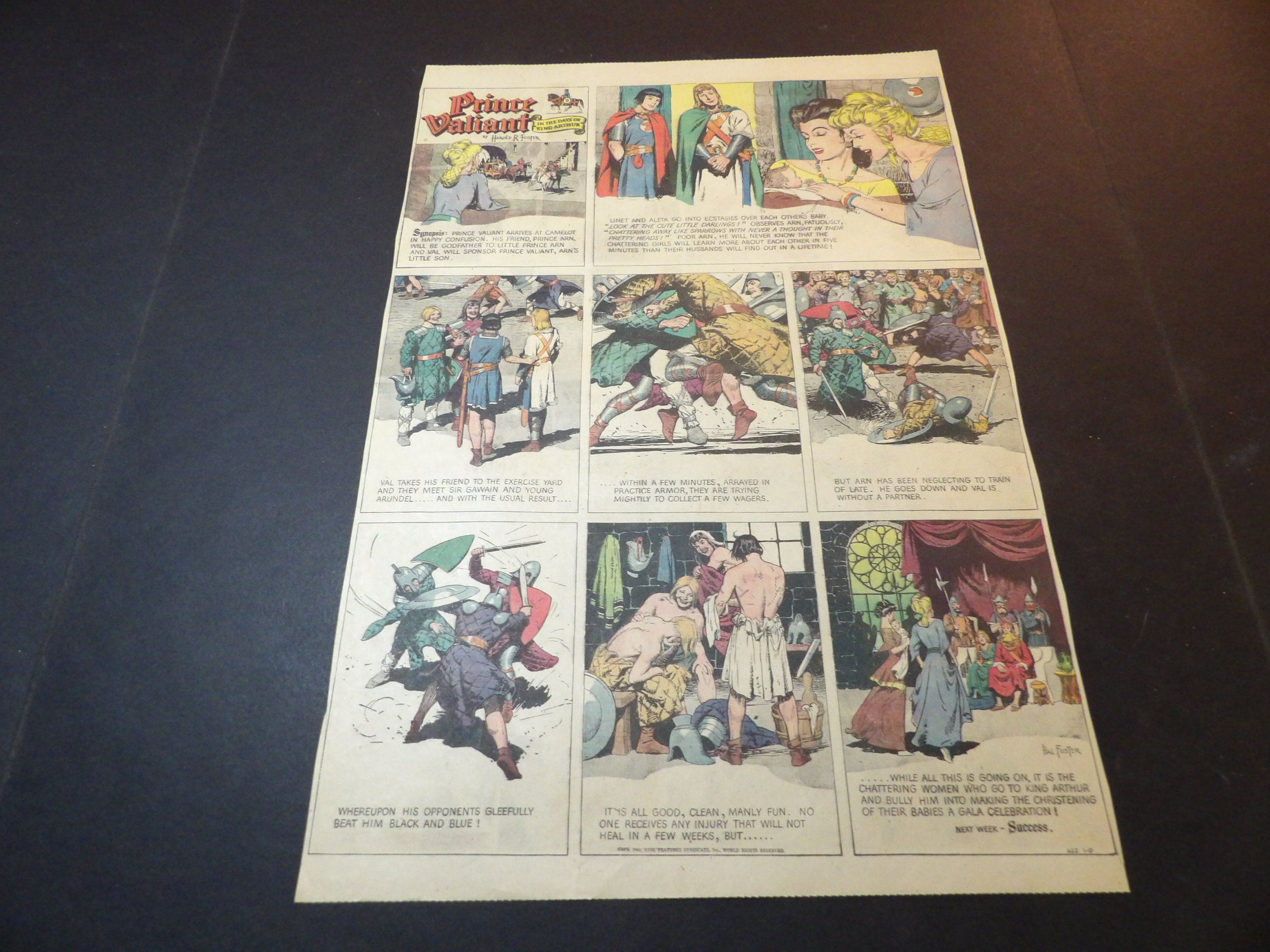 Andy Madura's Sunday Comics - Prince Valiant - 1953-1956